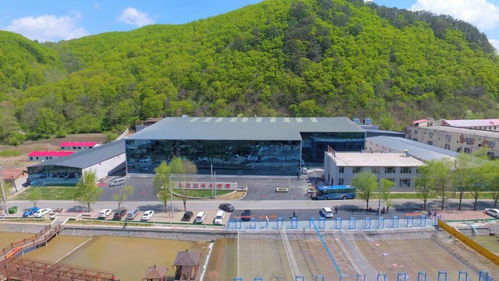 帶你走進22 的夏天系列之四 三伏日烈,通化送爽,到永欣歡樂谷旅游度假區嬉水正當時