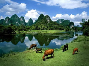 8月來這12個旅行地,1秒清涼,辭職也要去