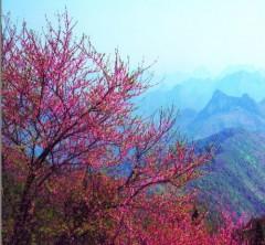 陽朔自助游 桂林旅行網(wǎng) 桂林旅游網(wǎng) 桂林旅游, 陽朔自助游 桂林旅行網(wǎng) 桂林旅游網(wǎng) 桂林旅游生產(chǎn)廠家, 陽朔自助游 桂林旅行網(wǎng) 桂林旅游網(wǎng)