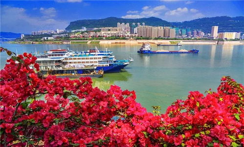 這就是萬州 今天將萬眾矚目